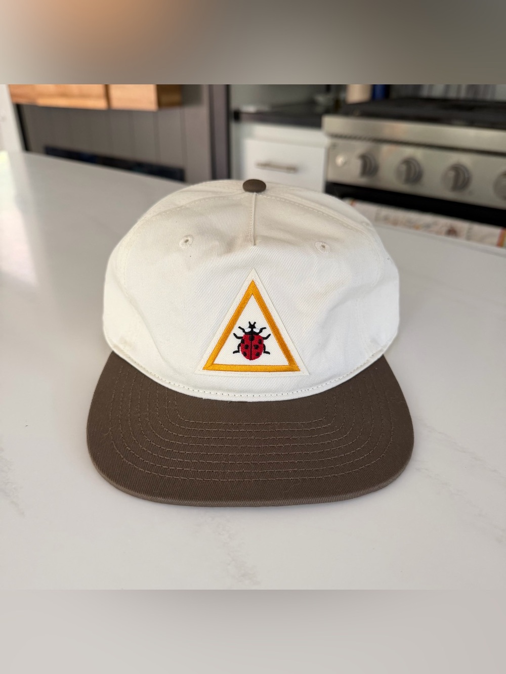 Noah Kahan Ladybug Hat - The Great Divide Tour